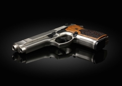 Gun - Panama City murder