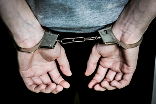 Handcuffs - Florida sex crimes 